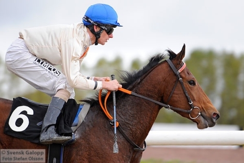 Karakorun, Jägersro 23. okt. 2010 med jockey Jacob Johansen