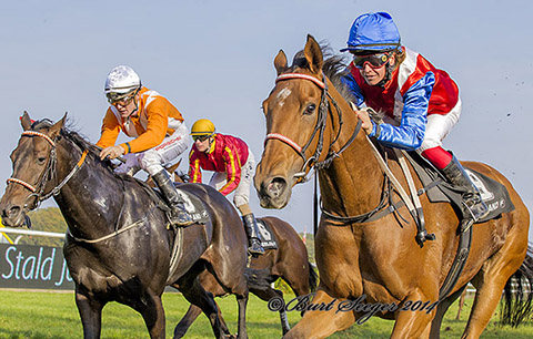 Exquest, Klampenborg Galopbane, oktober 2014