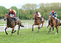 Lord Of Dublin (IRE)