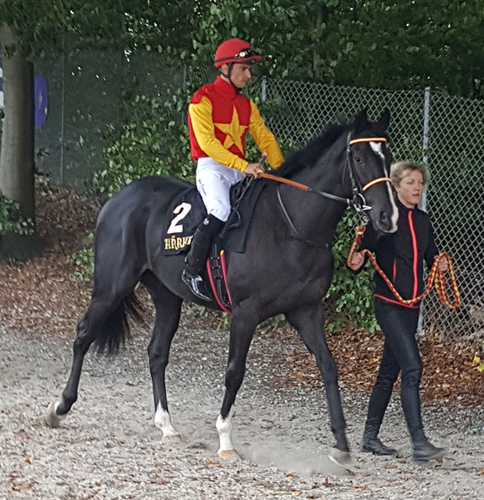 Hongkong Honcho (GB)