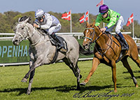 LEA (SWE)