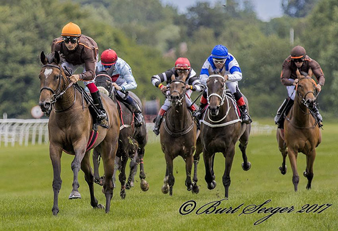QUEEN ESTORIL (IRE)