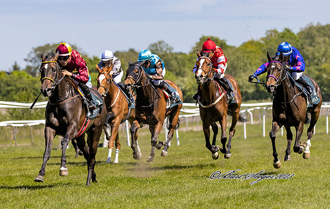 Amicone (IRE)