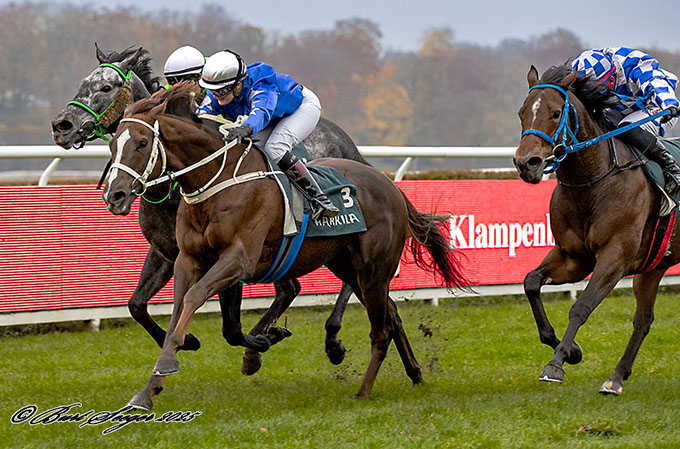 Glory Of Lancome (IRE)