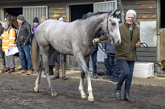 Grey Eminence (DEN), marts 2024. Foto Burt Seeger