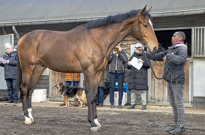 Man Oh Man (DEN), marts 2024. Foto Burt Seeger