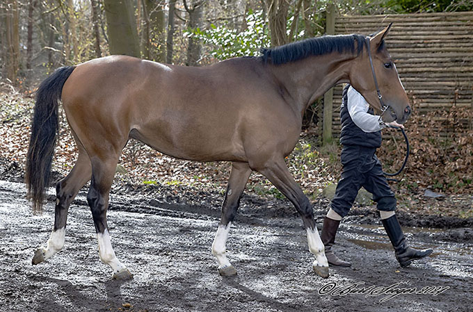 PATIENCE (FR) Foto Burt Seeger