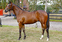 NN (DEN) u.a. Monteille (FR)