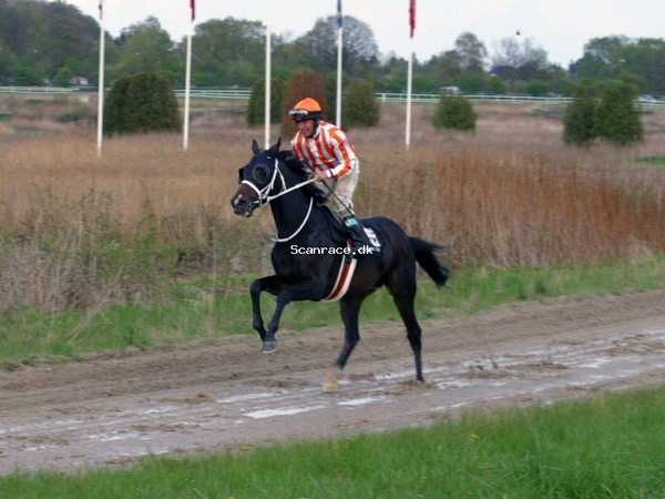 Alnitak (USA)