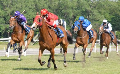 Hongkong Legende (IRE)