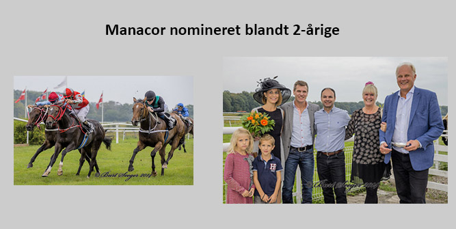 Manacor nomineret blandt 2-årige.