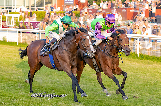 Stald KTAS’ 3-årige Noelle (til højre i billedet) aflægger sin maidentitel på Klampenborg Galopbane den 24. juli 2021.  Jockey Nocolaj Stott fører hesten til sejr blandt otte konkurrenter. Foto: Burt Seeger. 