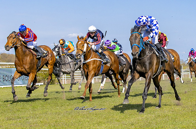 Susanne Springers Sankt Peder (ger) imponerede stort, redet af jockeylærling Andres Chavez, lørdag den 1. maj 2021 på Klampenborg Galopbane.  Foto: Burt Seeger