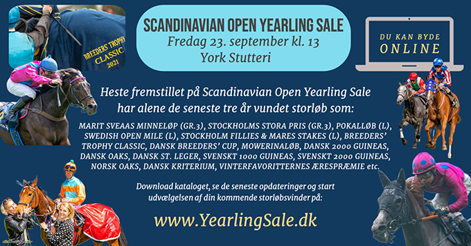 Reklametekst for Scandinavian Open Yearling Sale 2022