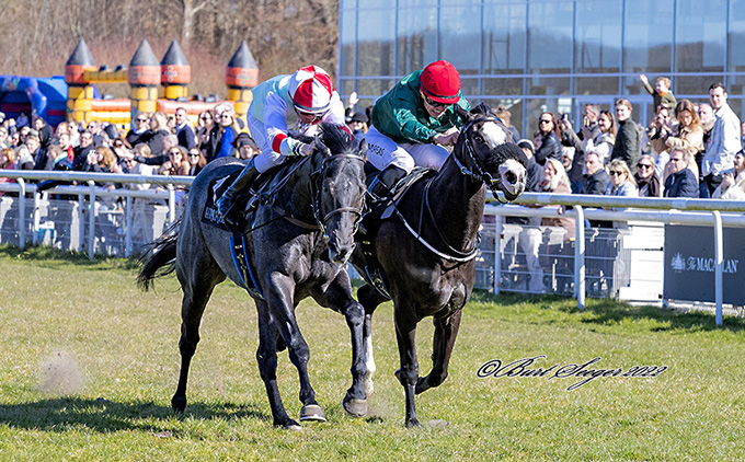 3-årige Onyx (til venstre) på vej mod maidensejr på Klampenborgs premieredag 16. april 2022. Foto Burt Seeger