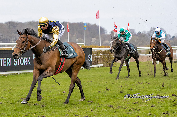 3-årige Angel Field (IRE) imponerer med en debutsejr på Klampenborg Galopbane, lørdag den 15. april 2023. Foto Burt Seeger