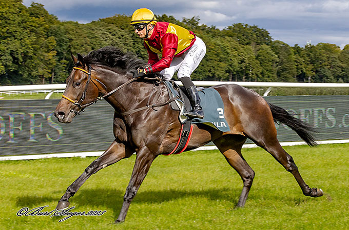 BRIGADIER (DEN), med jockey Elione Chaves på vej mod sejr i dansk galops auktionsløb, Klampenborg, 23. sep., 2023