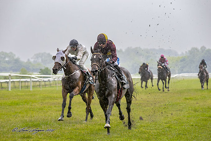 Lone Kaj-Nielsens Amicone /IRE) med jockey Elione Chaves vandt sikkert i Off Hours Trophy, lørdag 15. juni 2024. Foto Burt Seeger