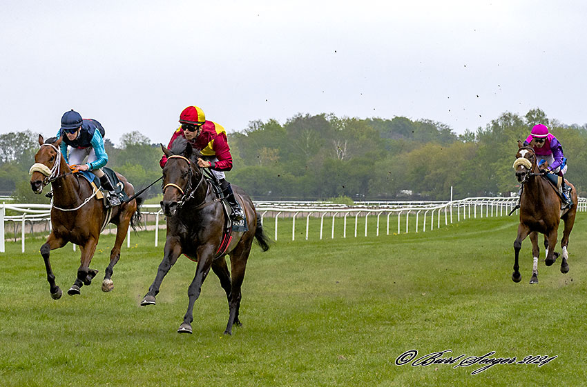  Brigadier med jockey Elione Chaves på vej mod sejr i Guineas Trial på Klampenborg, lørdag den 4. maj 2024. Foto Burt Seeger