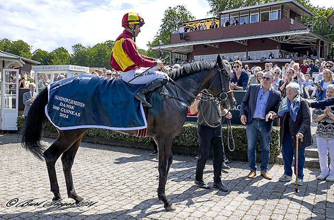 Foto til arkivet over heste med
	sejr i Dansk 2000 Guineas. Her Lone Kaj-Nielsens Brigadier, redet til sejr af jockey Elione Chaves. Foto Burt Seeger