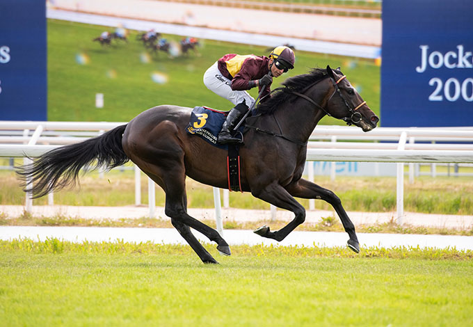 Brigadier (DEN) og jockey Elione Chaves på vej mod sejr i Jockeyklubbens 2000 Guineas 2024, 9. juni 2024. Foto Elina Björklund / Svensk Galopp