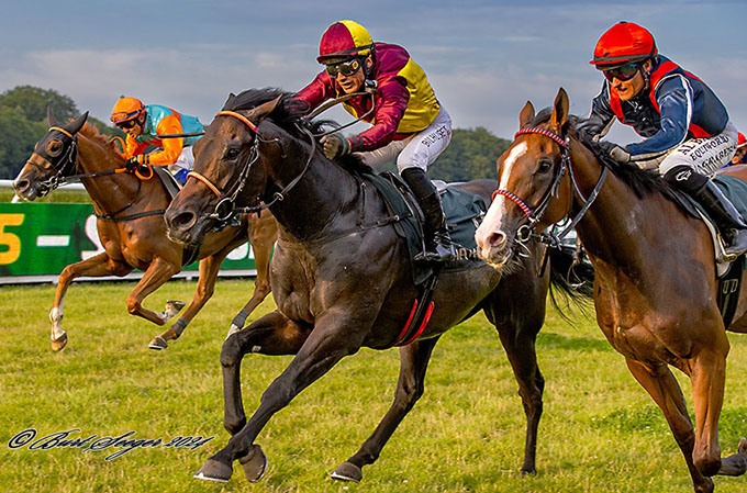 Få sekunder efter dette billede er taget, kan Brigadier sammen med jockey Elione Chaves kalde sig for vinder af dansk Derby 2024. Foto Burt Seeger