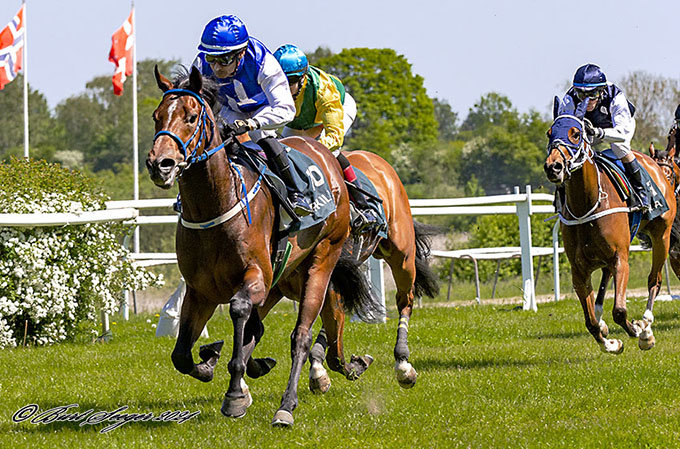 Camar (GB) blev redet til sejr af jockey Carlos Lopez. Foto Burt Seeger