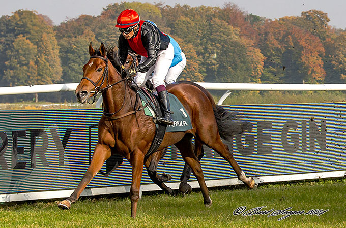 Diplomatico med jockey Carlos Lopez på sejrskurs, Klampenborg den 26. oktober 2024. Foto Burt Seeger 