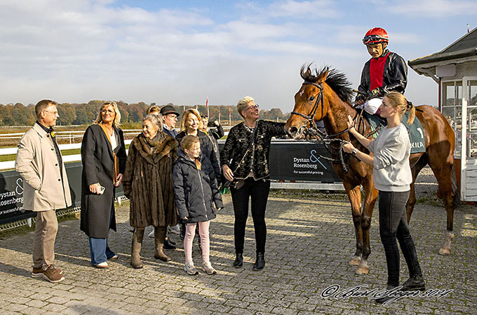 Diplomatico ud af Karakorun med jockey Carlos Lopez i vindercirklen efter hestens maidensejr 26. oktober 2024. Foto Burt Seeger