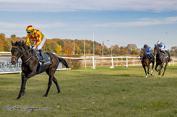 First (DEN) med jockey Carlos Lopez på vej mod en fem længders sejr, lørdag den 2. november 2024. Foto Burt Seeger