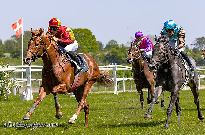 Great Wish (IRE), redet af jockey Elione Chaves, ejet af Lone Kaj-Nielsen, har en stor karriere foran sig. Foto Burt Seeger