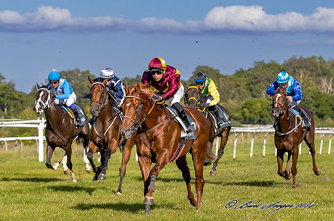 Great Wish, redet af jockey Elione Chaves, på vej mod sejr i 3-Års Sprint på Klampenborg Galopbane 31. aug. 2024. Foto Burt Seeger