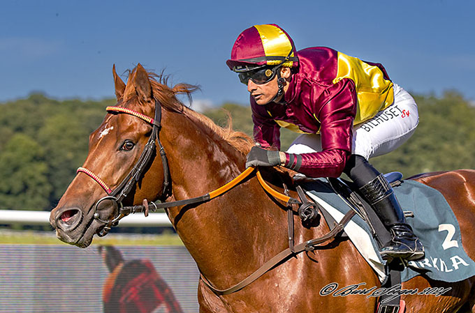 Nyd Burt Seegers smukke billede af Great Wish med jockey Elione Chaves med sejren forude på Damernes Dag i 3-års sprint
	. Foto Burt Seeger