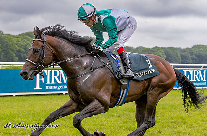 Irish Fire (IRE) og jockey Carlos Lopez sejrer på Klampenborg, lørdag den 15. juni. Foto Burt Seeger