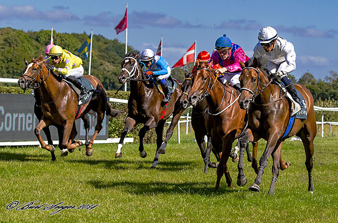 Kis Me Again, redet af Carlos Lopez, sejrer i Herman Sallings Mindeløb Dansk Kriterium på Klampenborg Galopbane 31. aug. 2024. Foto Burt Seeger 