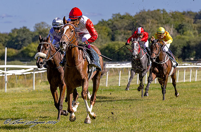 Stald Klampenborgs 2-årige Red Rock med jockey 
	Carlos Lopez på vej mod sin første sejr, Klampenborg, lørdag den 14. sep. 2024. Foto Burt Seeger