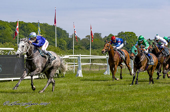 Her ses Revolutme (IRE) med jockeylærling Victoria Larsen
	nærme sig sejren i et felt med 12 konkurrenter, lørdag den 25. maj 2024 på Klampenborg Galopbane. Foto Burt Seeger