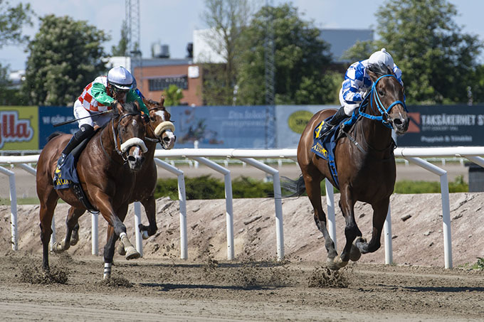 Send Me An Angel (DEN) med jockey Carlos Lopez på vej mod sejr, Jägersro 19. maj 2024. Foto Stefan Olsson / Svensk Galopp