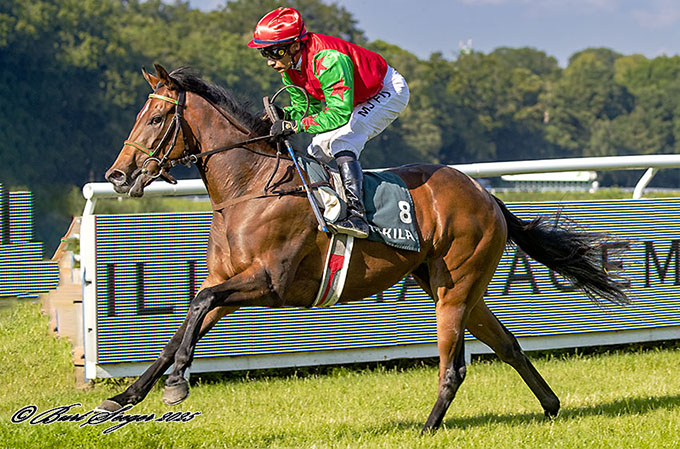 Cool Magic med jockey Carlos Lopez sejrer i årets første storløb for 2-årige heste, Produce Stakes, 19. juli 2025. Foto Burt Seeger