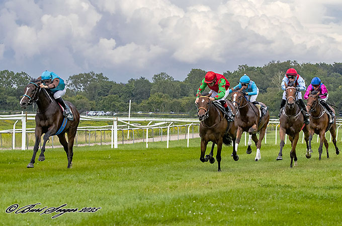 2-årige Cool Magic med jockey Sandro De Paiva imponerede igen efter sejren 19. juli, nu med en andenplads i Goffs Futurity 
	Stakes. Foto Burt Seeger 