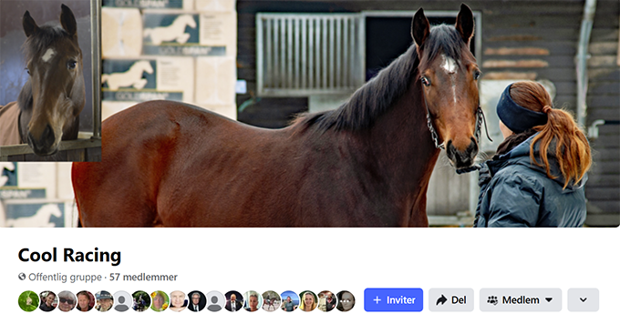 Følg med i Cool Magics karriere på hestens hjemmeside på Facebook