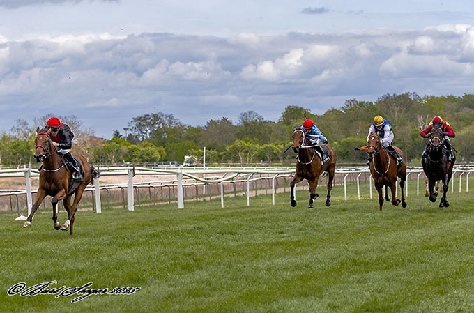  Smukke Diplomático blev redet til sejr af jockey Sandro De Paiva  i Guineas Trial 2025 Foto Burt Seeger