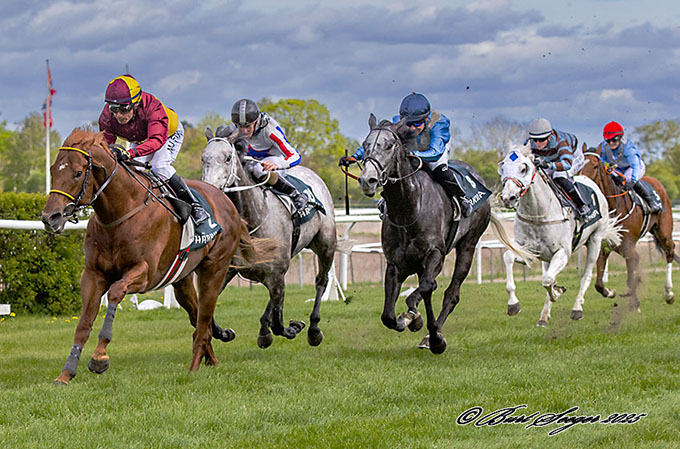 Sejr til Great Wish (IRE) og jockey Carlos Lopez i Henrik Leths Mindeløb, 3. maj 2025. Foto Burt Seeger