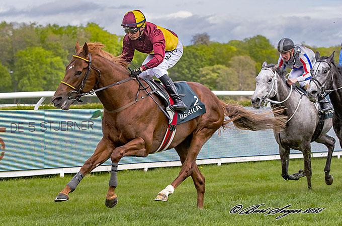 Great Wish (IRE) med jockey Carlos Lopez, 3. maj 2025, Klampenborg Galopbane. Foto Burt Seeger