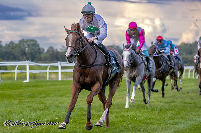 Grey Eminence, redet af Angel Alekov Yuliyanov, 
	opnåede en fin andenplads i Derby Consolation. Foto Burt Seeger