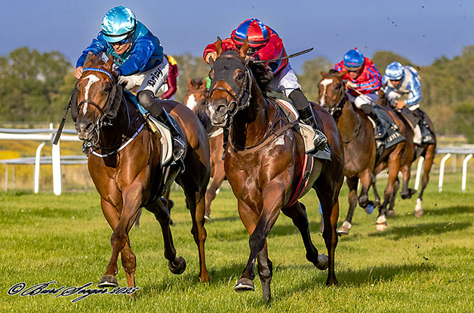 King Of Ten (IRE) - i blå og rød, med jockey Elione Chaves på vej mod et hattrick, lørdag den 30. august 2025, Klampenborg Galopbane. Foto Burt Seeger