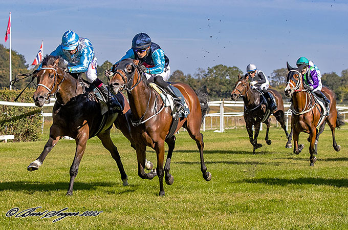 En hård kamp om førstepladsen blev udkæmpet mellem My Friend (IRE) og Sisi (DEN) til My Friends fordel. Foto Burt Seeger