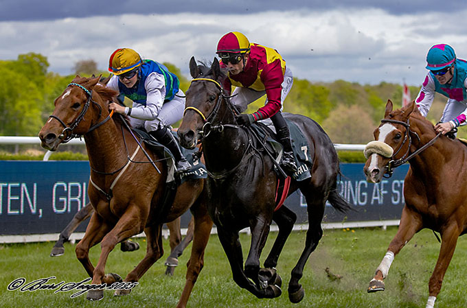 Next Target (i midten) med jockey Elione Chaves sikrede stalden en dobbelt i Guineas Trial, 3. maj 2025. Foto Burt Seeger