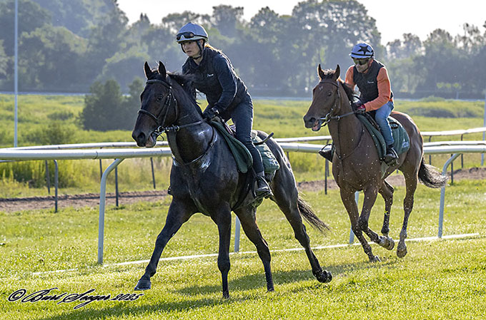 Next Target (derbydeltager) i front med Christina Pedersen og Diplomatico (derbydeltager) bagest med Angel Alekov Yuliyanov. Foto Burt Seeger