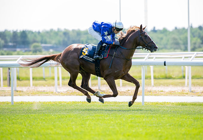 No Surrender (DEN) med jockey Sandro De Paiva, 
	sejrede i klassisk 2000 Guineas på Bro Park, søndag den 15. juni, 2025. Foto Elina Björklund / Svensk Galopp